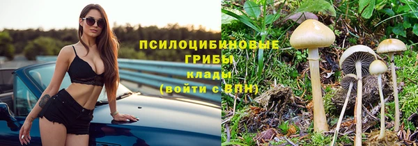 spice Анжеро-Судженск
