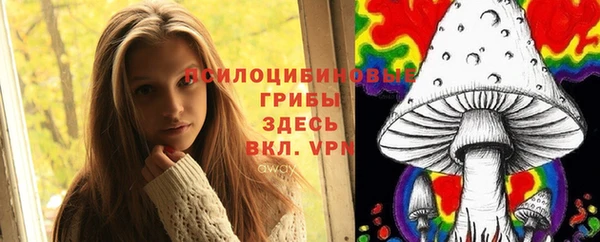 apvp Майский