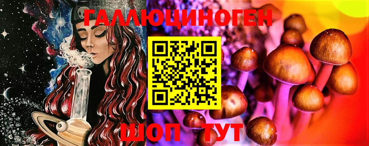 Галлюциногенные грибы Psilocybe Красный Сулин